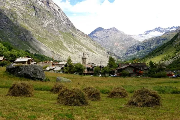 meules de foin cuchons